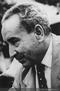 Juan Guzmán Cruchaga, 1962