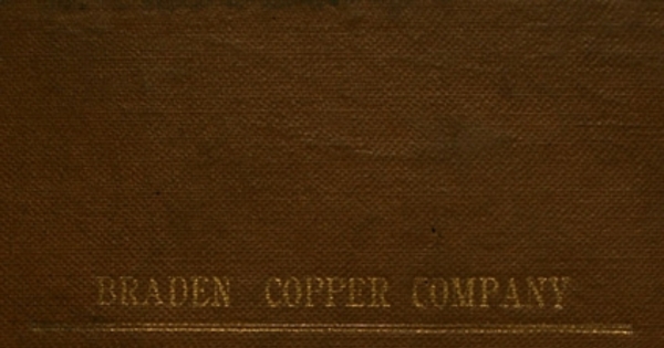 Reglamentos: destinados al gobierno de los empleados del ferrocarril de la Braden Copper Company