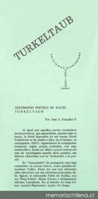 Turkeltaub : testimonio poético de David Turkeltaub