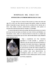 "Minerales del siglo XIX...
