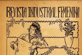 Revista industrial femenina: año 1-2, n° 2-19, diciembre de 1912 a 1914