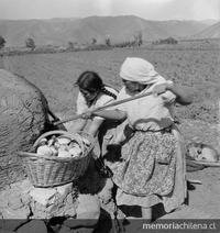 Mujeres campesinas sacando pan amasado de un horno de barro