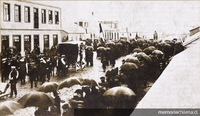 Funerales de don Vittorio Cuccini. Punta Arenas, 1906