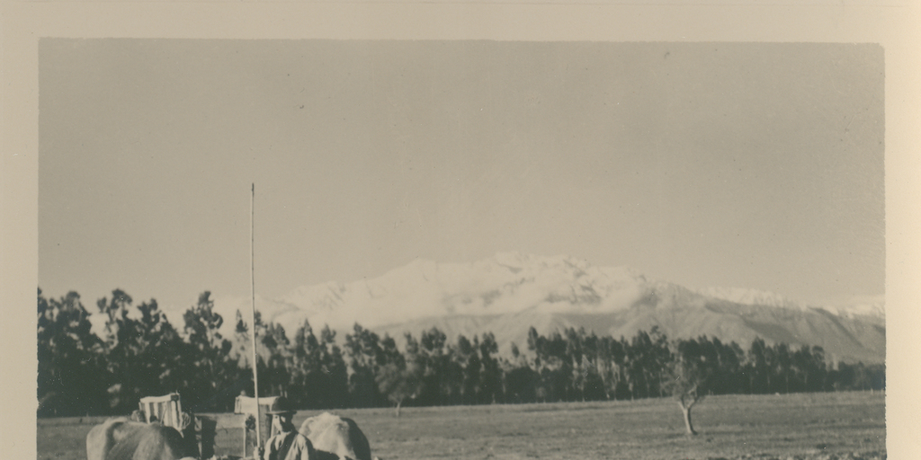 Campesino y su arado con dos bueyes, ca. 1900