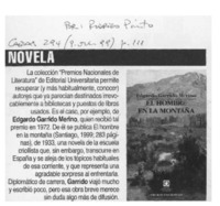 Novela  [artículo] Rodrigo Pinto.