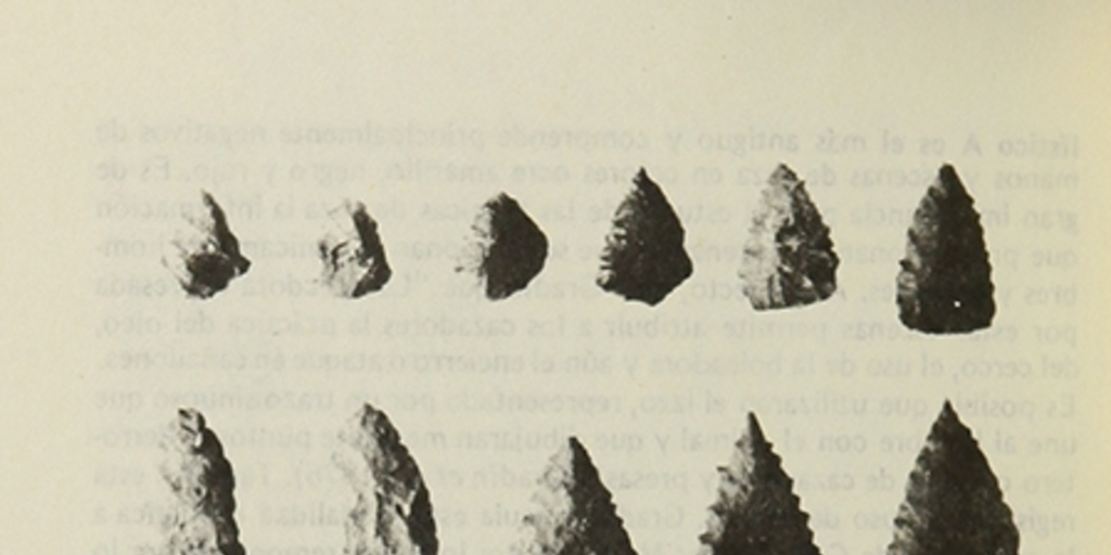Artefactos del Toldense final de Magallanes.Orígenes de la comunidad primitiva en Patagonia, México, Ediciones Cuicuilco,1982,