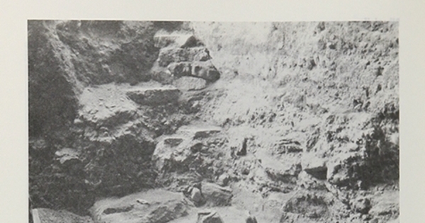 Piso de excavación cueva Fell, con huesos de caballo y milodón in situ.Viajes y arqueología en Chile austral. Ediciones de la Universidad de Magallanes, Punta Arenas. 1988.