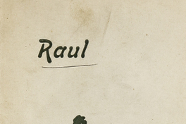 Raúl: poema preliminar sobre el arte nuevo