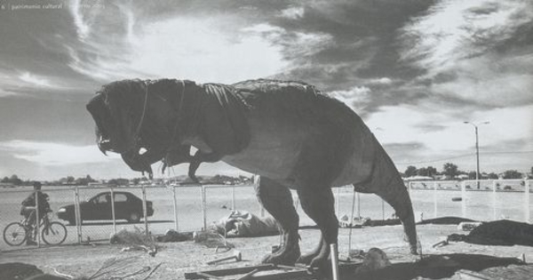 "Y los dinosaurios ¿Van a desaparecer? Pre / historia de la fotografía en Chile"En: Patrimonio  Cultural (36): 6-7, invierno, 2005.