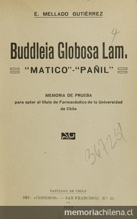 Buddleia globosa lam: "matico" - "Pañil". Santiago: [s.n.], (Santiago: Cisneros), 1923