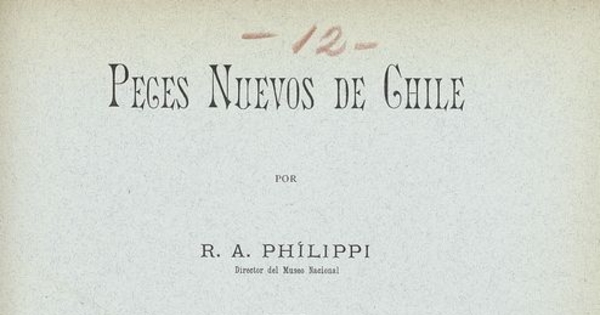 Peces nuevos de Chile. Santiago de Chile: Impr. Cervantes, 1896. 15 p.