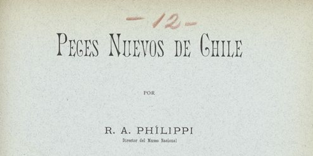 Peces nuevos de Chile. Santiago de Chile: Impr. Cervantes, 1896. 15 p.