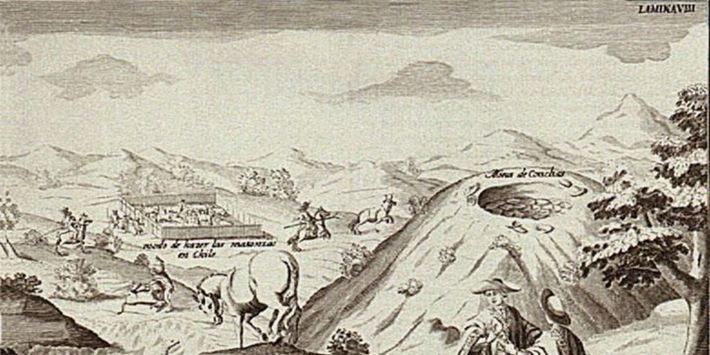Modo de hacer las matanzas en Chile, 1748