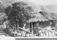 Rancho con techo de paja, hacia 1950