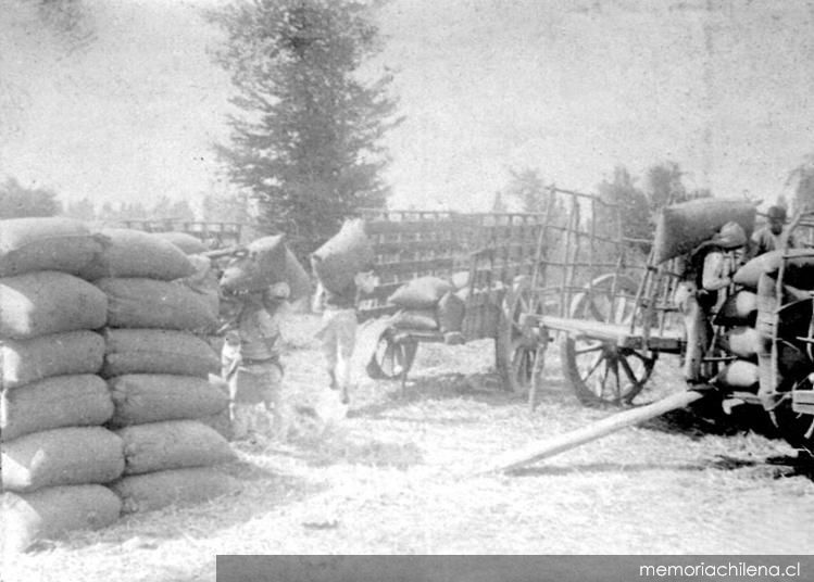 Carga de sacos de trigo (ca. 1930)
