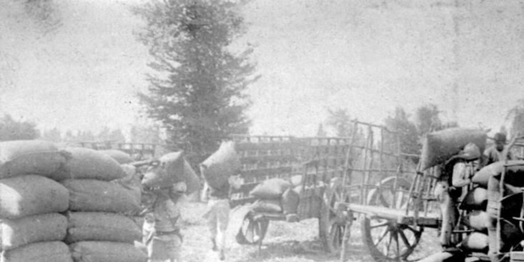 Carga de sacos de trigo (ca. 1930)