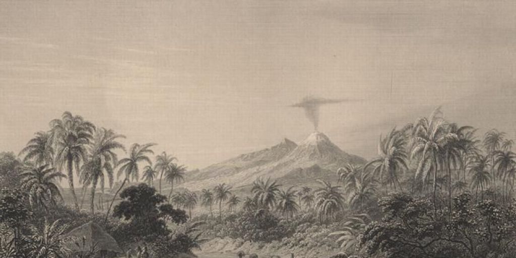 Vegetation of the westcoast, Palm-wood and volcano of Colima