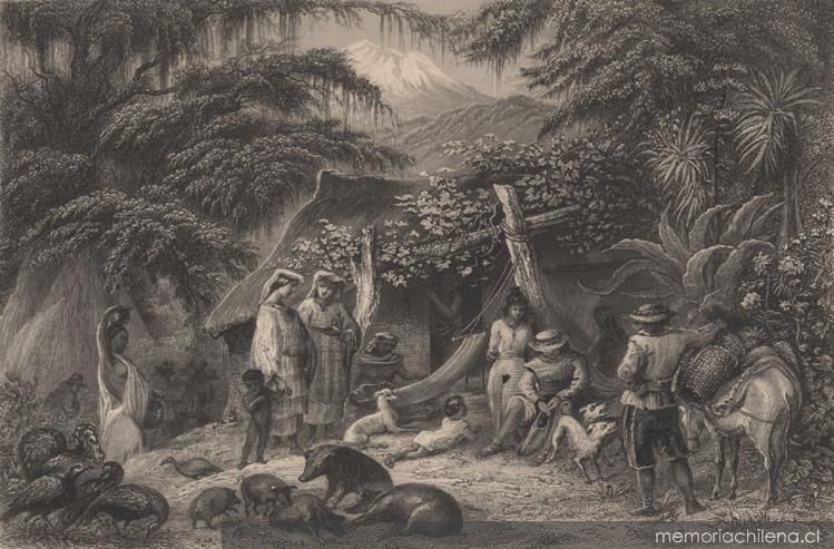 Indians of the tierra templada