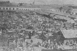 Feria de productos agrícolas, Chillán, 1903