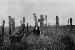 Cementerio mapuche