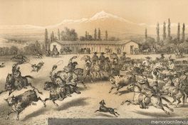 Matanza de ganado, siglo XIX