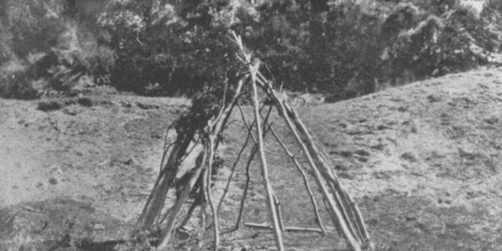 Armazón de cabaña familiar yámana, hacia 1920