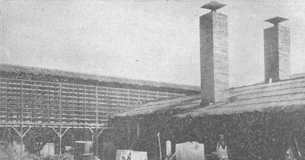 Secadores de fruta del Fundo Ongolmo, Buin, 1922