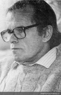 Martín Cerda, 1991