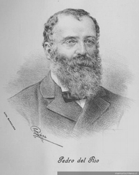 Pedro del Río, 1840-1918