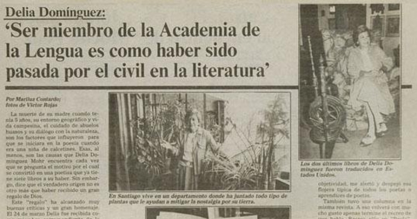 Delia Dominguez : Ser miembro de la Academia de la Lengua es como haber sido pasada por el civil en la literatura