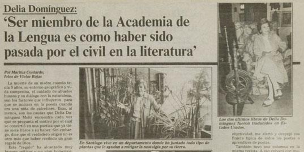 Delia Dominguez : Ser miembro de la Academia de la Lengua es como haber sido pasada por el civil en la literatura