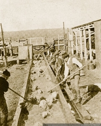Obreros bañando ovejas en la Estancia Cameron, Tierra del Fuego, 1920
