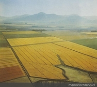 Valle de Vallenar, hacia 1960