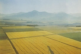 Valle de Vallenar, hacia 1960