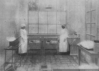 Sala de niños de la Maternidad del Salvador de Santiago, 1919