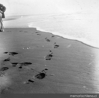 Pisadas en la arena húmeda, hacia 1960