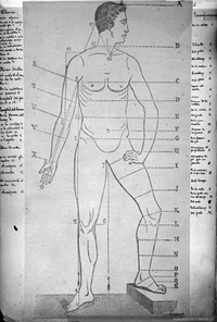 Dibujo del cuerpo humano, ca. 1880