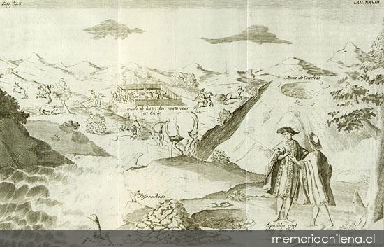 Modo de hacer las matanzas en Chile, 1748