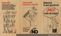 ¡No! Voto de mujer, 1988