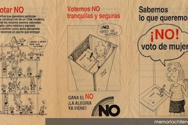 ¡No! Voto de mujer, 1988