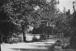 Parque Cousiño (Santiago), ca. 1910
