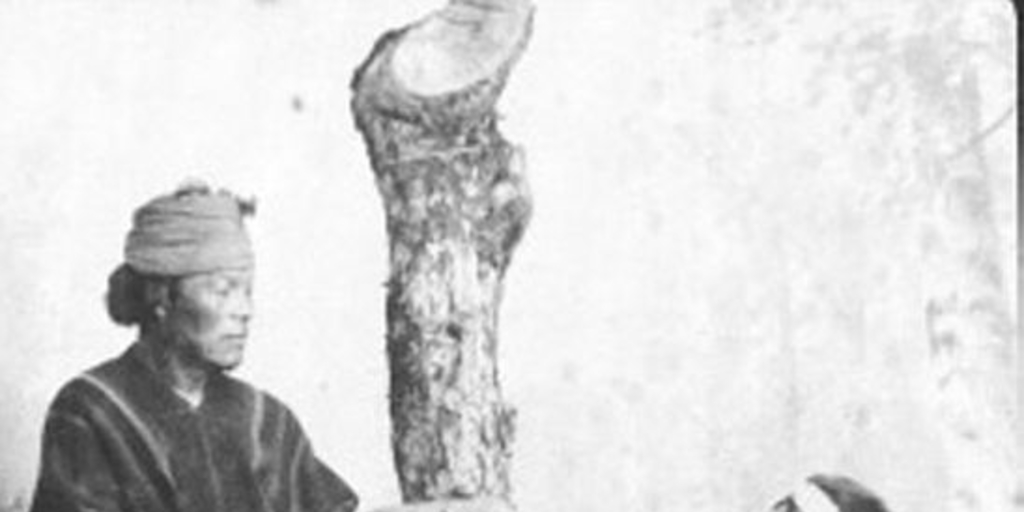Dentista mapuche en el estudio fotográfico, ca. 1890