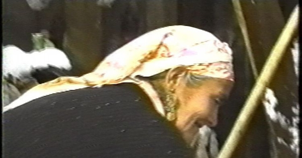 Fotograma de la película "Punalka : el Alto Bío-Bío", 1995