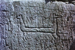 Petroglifos estilo Isla : "El señor de los camélidos"
