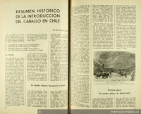 Resumen histórico de la introducción del caballo en Chile