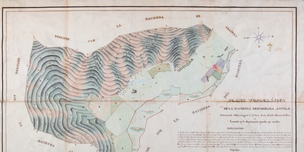 Plano topográfico de la hacienda denominada  Águila perteneciente al mayorazgo de la señora doña Emilia Herrera de Toro, 1852