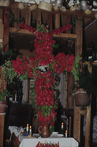 Fiesta de la Cruz de Mayo en San Pedro, Concepción, 1993