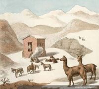 Paisaje altiplánico chileno, 1820-1821