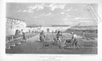 La Tirana, ca. 1850