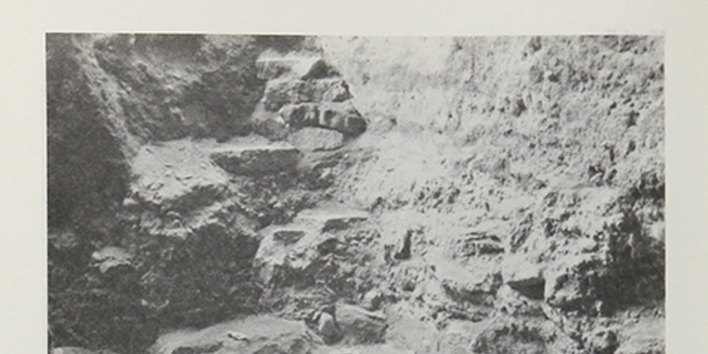 Piso de excavación cueva Fell, con huesos de caballo y milodón in situ.Viajes y arqueología en Chile austral. Ediciones de la Universidad de Magallanes, Punta Arenas. 1988.